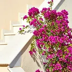 Le Blanc Casa vacanze *