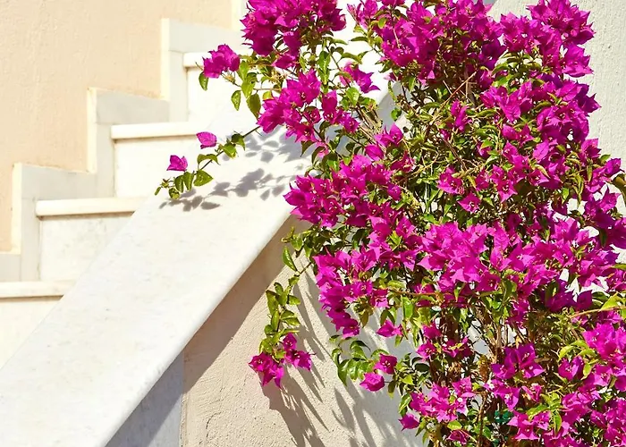 Le Blanc Tatil Evi *