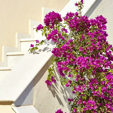 Vakantiehuis Le Blanc Mesariá