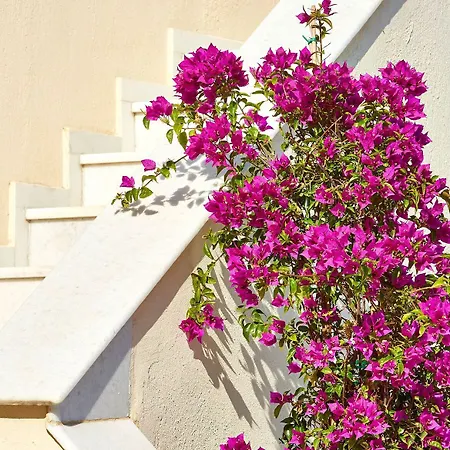Le Blanc Holiday home *