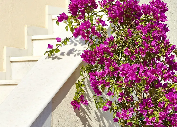 Holiday home Le Blanc Messaria (Santorini)